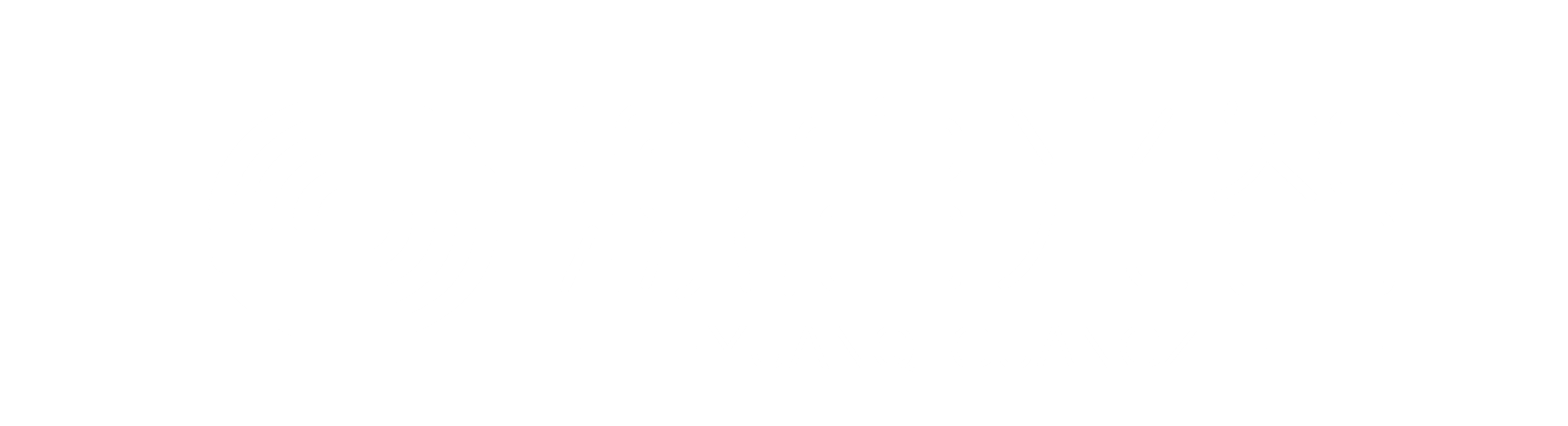 中科源启光智
